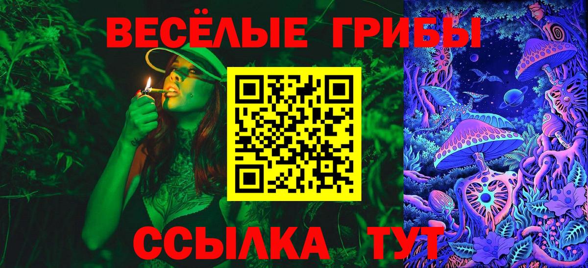 Псилоцибиновые грибы GOLDEN TEACHER  Вход с VPN  Усть-Лабинск  Галлюциногенные грибы мухоморы 