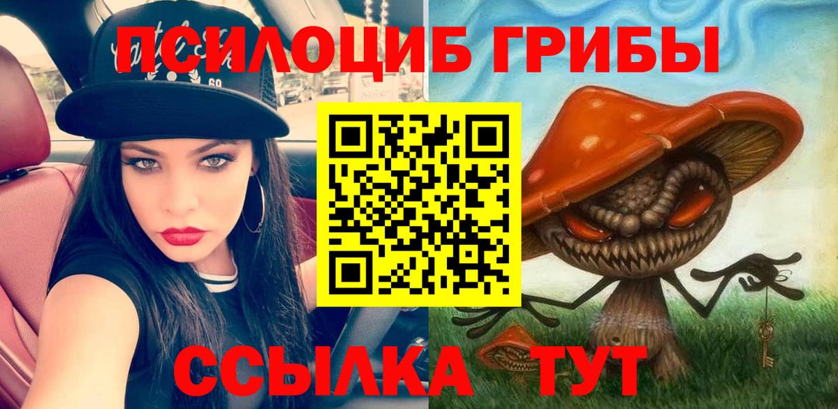 Псилоцибиновые грибы Psilocybine cubensis Усть-Лабинск